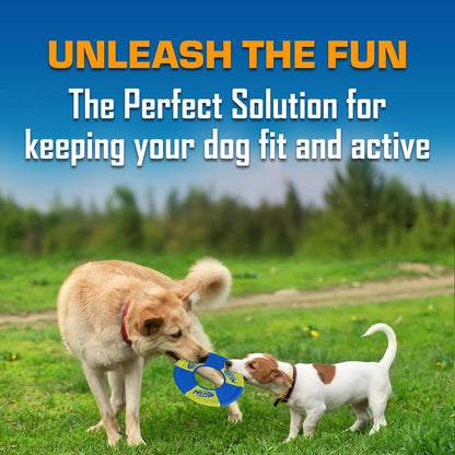 Nerf Dog outdoor fetch and tug ring flying disc
