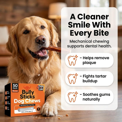 Natural long lasting dental chew sticks for medium and large dog breeds.