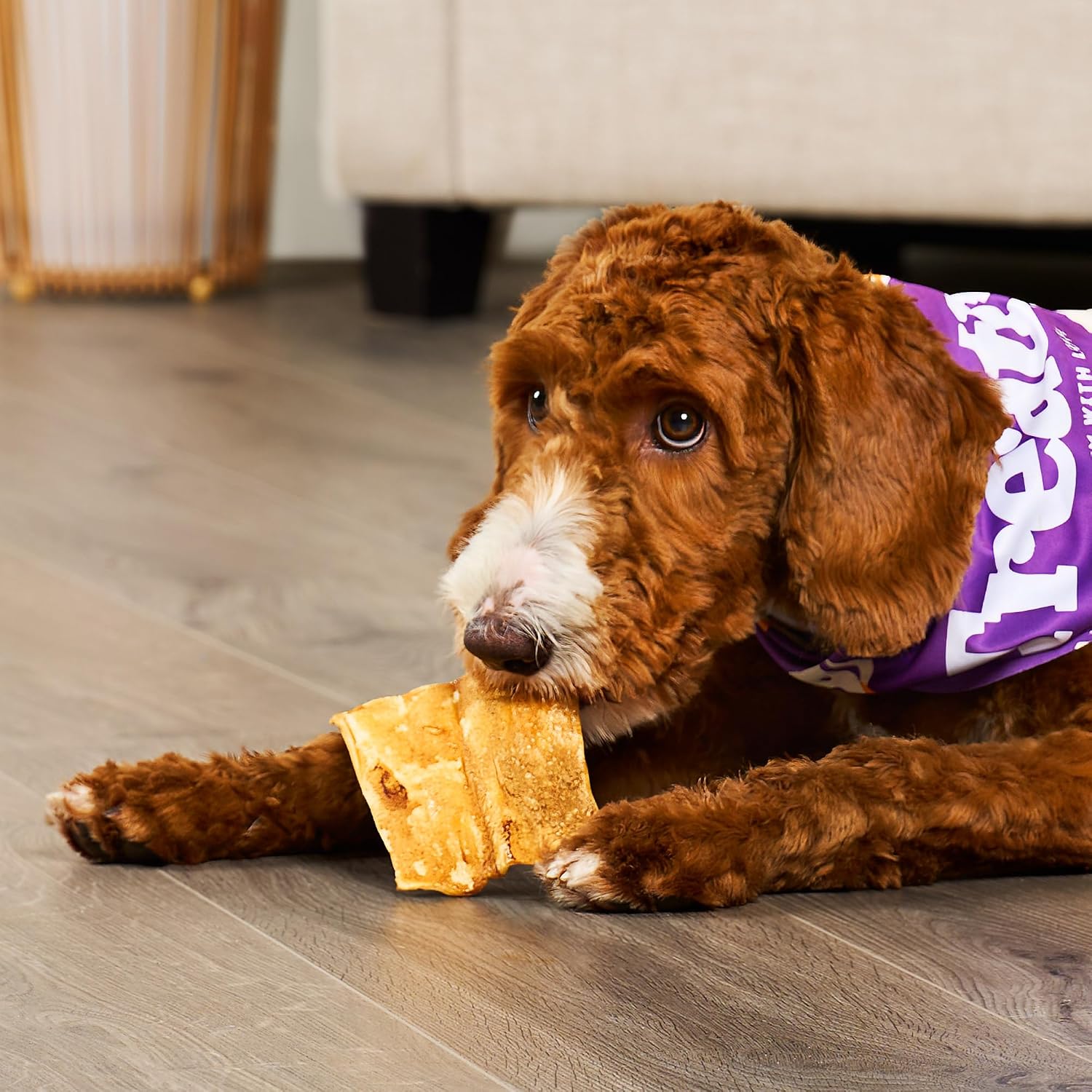 Treatly Pet Factory 32 ounce bag ninety nine percent digestible dog chews.