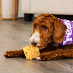Treatly chicken flavored dog treats back label with product instructions and details.