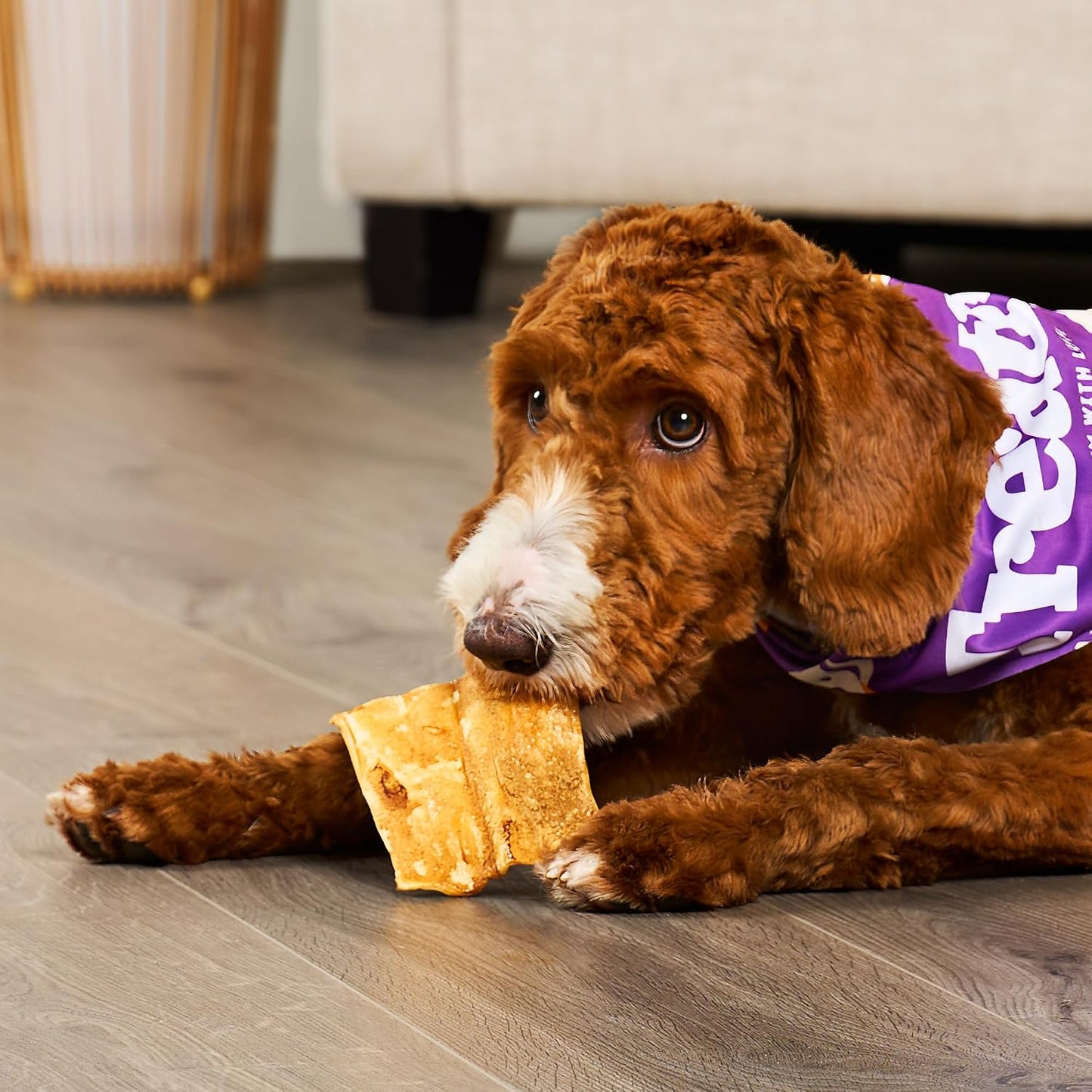 Treatly chicken flavored dog treats back label with product instructions and details.