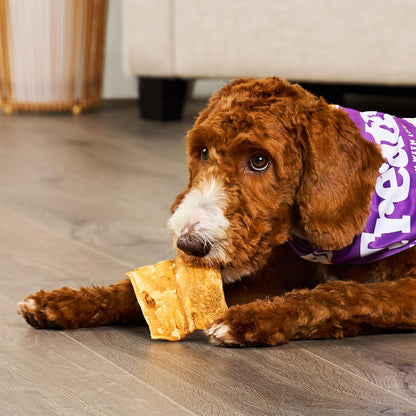 Treatly chicken flavored dog treats back label with product instructions and details.