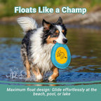Bifeaw dog toy floating in water for swimming