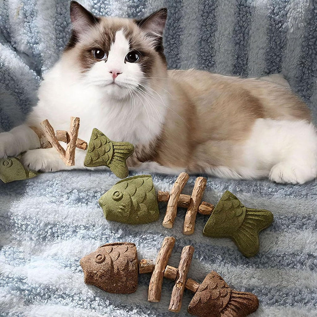 Safe alternative to manual cat brushing using natural interactive dental stick