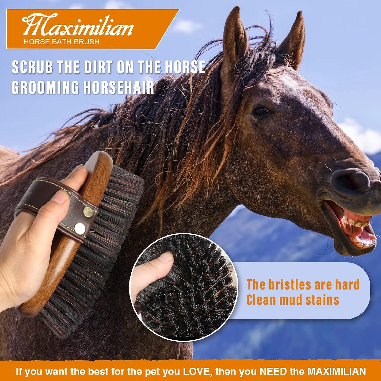Maximilian equestrian grooming tool on stable surface