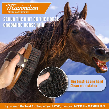 Maximilian equestrian grooming tool on stable surface