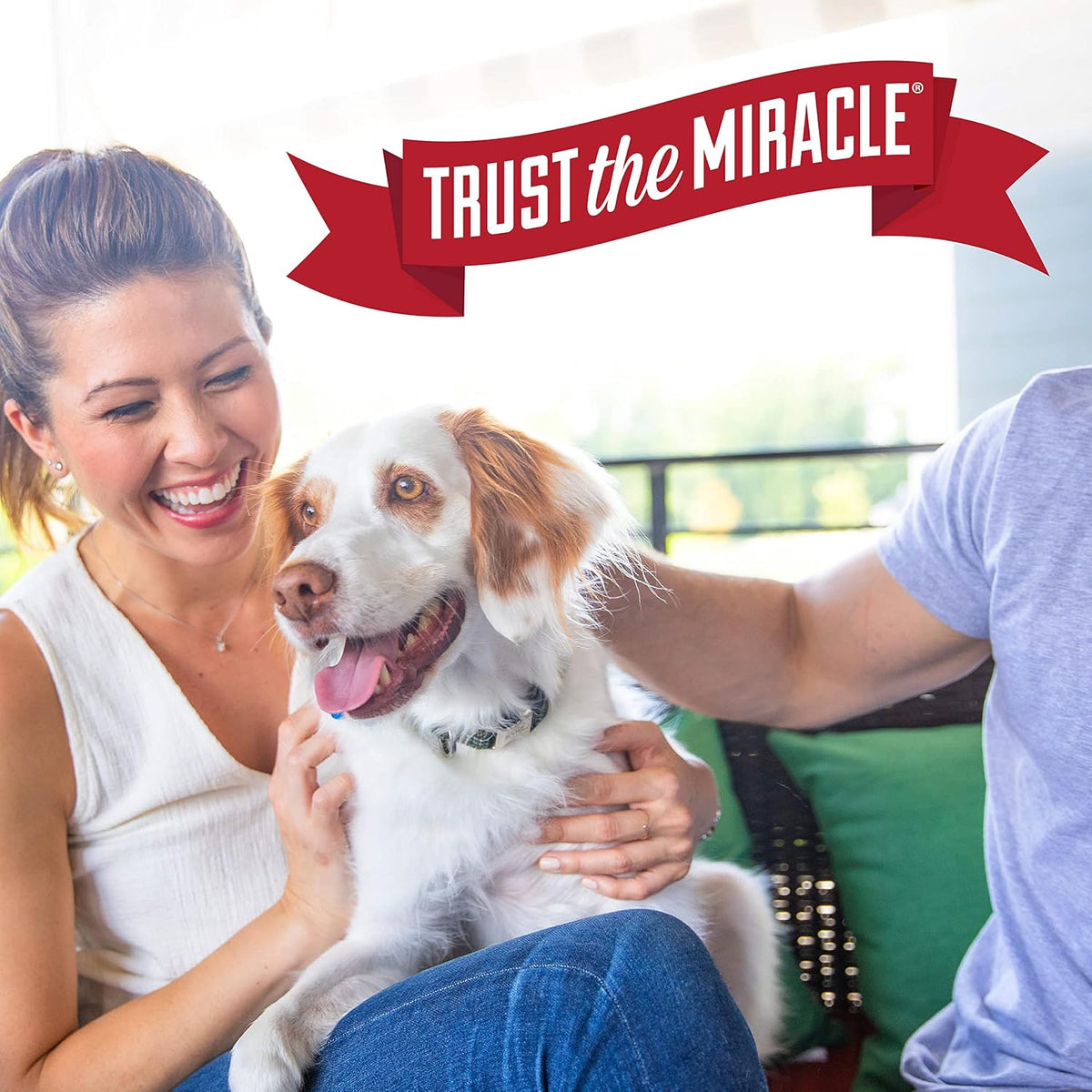 Nature's Miracle Stain and Odor Remover Dog 32 Ounces, Odor Control Formula, Pour - Image 10