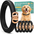 Flea and Tick Collar for Dogs 6 Pack, Natural Flea & Tick Prevention with Essential Oils, Waterproof Adjustable Dog Collar for Small Medium Large Dogs, Black & Gold - Image 1