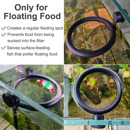 Daelala 3D printed non rust fish feeder ring showing waterproof magnet design