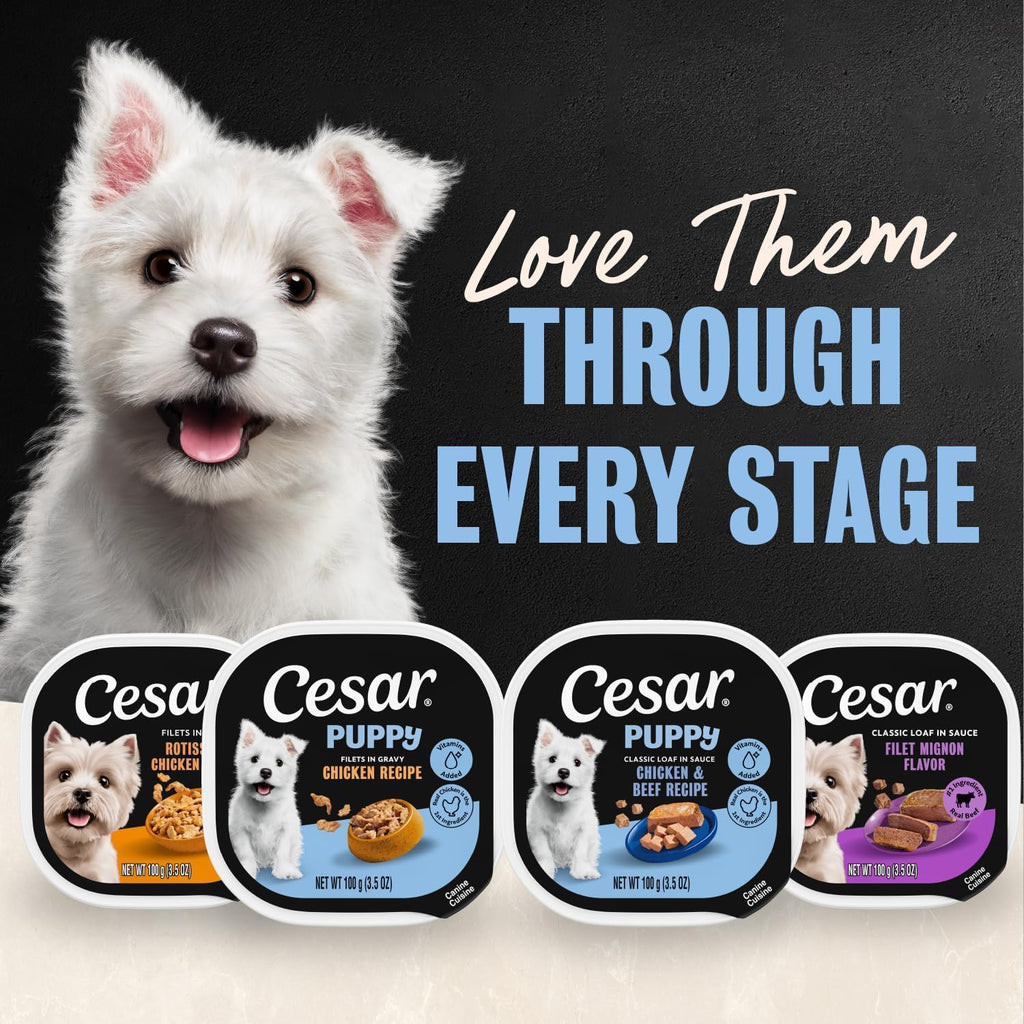 Cesar canine puppy food filets in gravy texture details