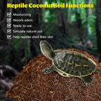 Snake eggs safely nestled in premium natural mineral vermiculite substrate