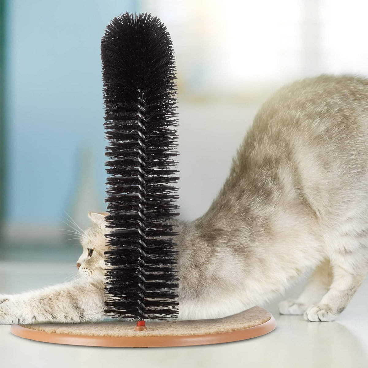 Petmaker cat grooming station with catnip compartment