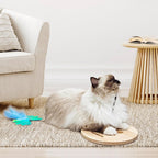Full packaging of the JXFUKAL 3 in 1 interactive cat toy set showing all included premium accessories.