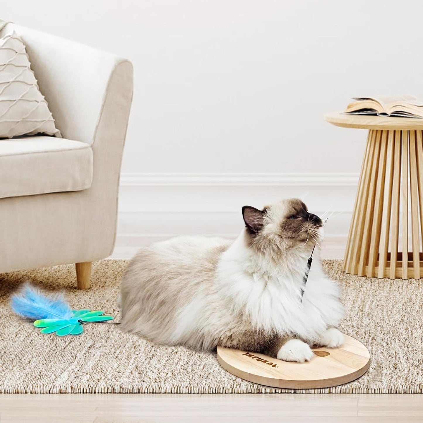 Full packaging of the JXFUKAL 3 in 1 interactive cat toy set showing all included premium accessories.