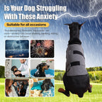 Harbyel anxiety wrap on a medium sized dog