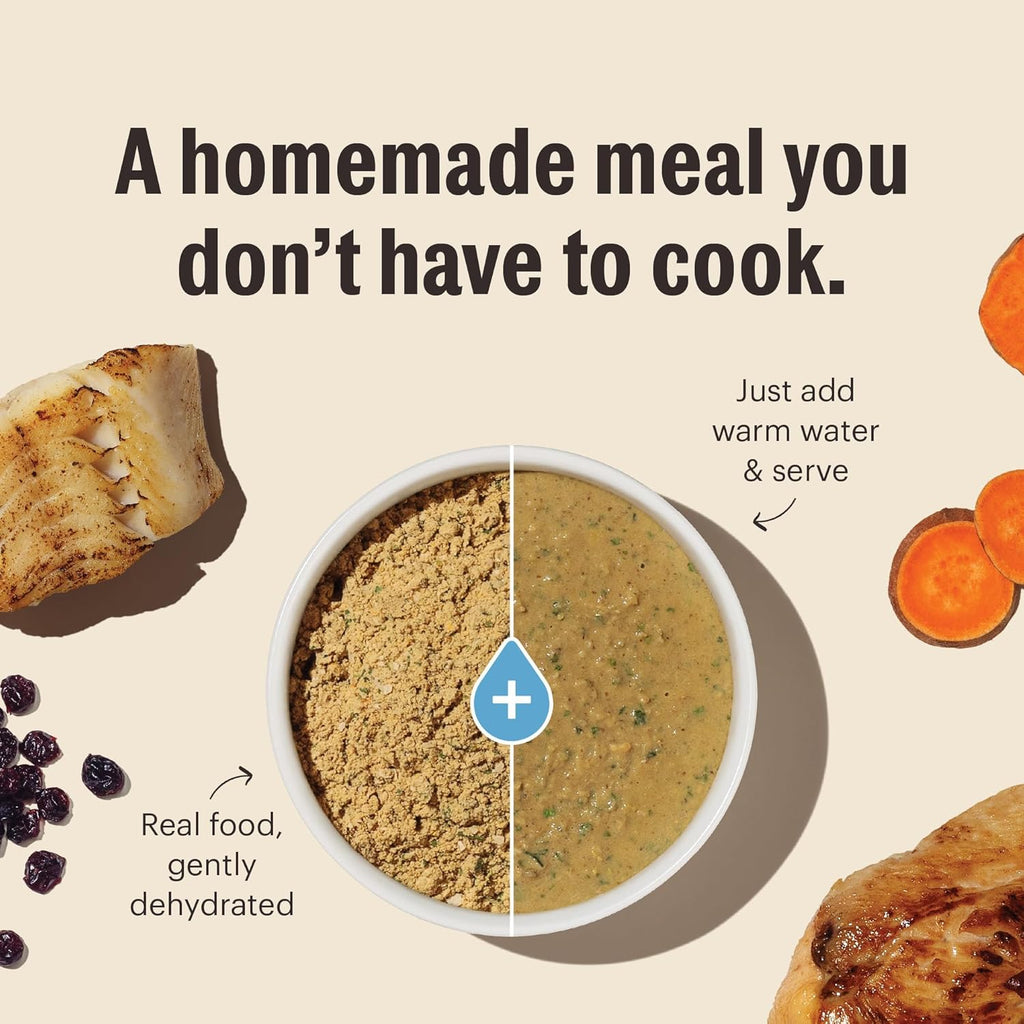 The Honest Kitchen Human Grade Dehydrated Grain Free Chicken Cat Food 4 Pound (Pack of 1) - Image 5