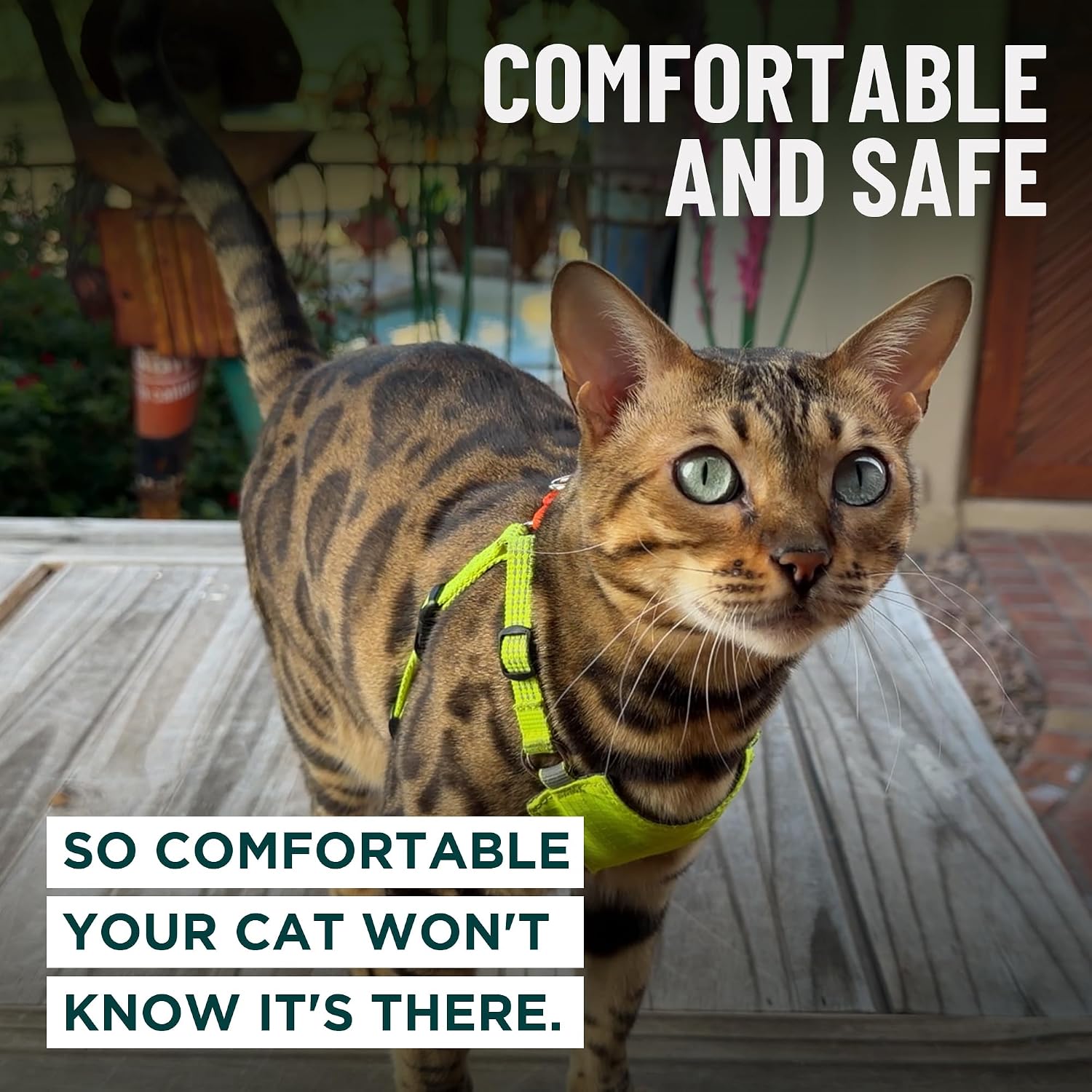 Breathable hypoallergenic fabric lining inside premium cat walking harness