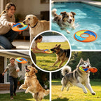 Expawlorer flying disc on beach for fetch training