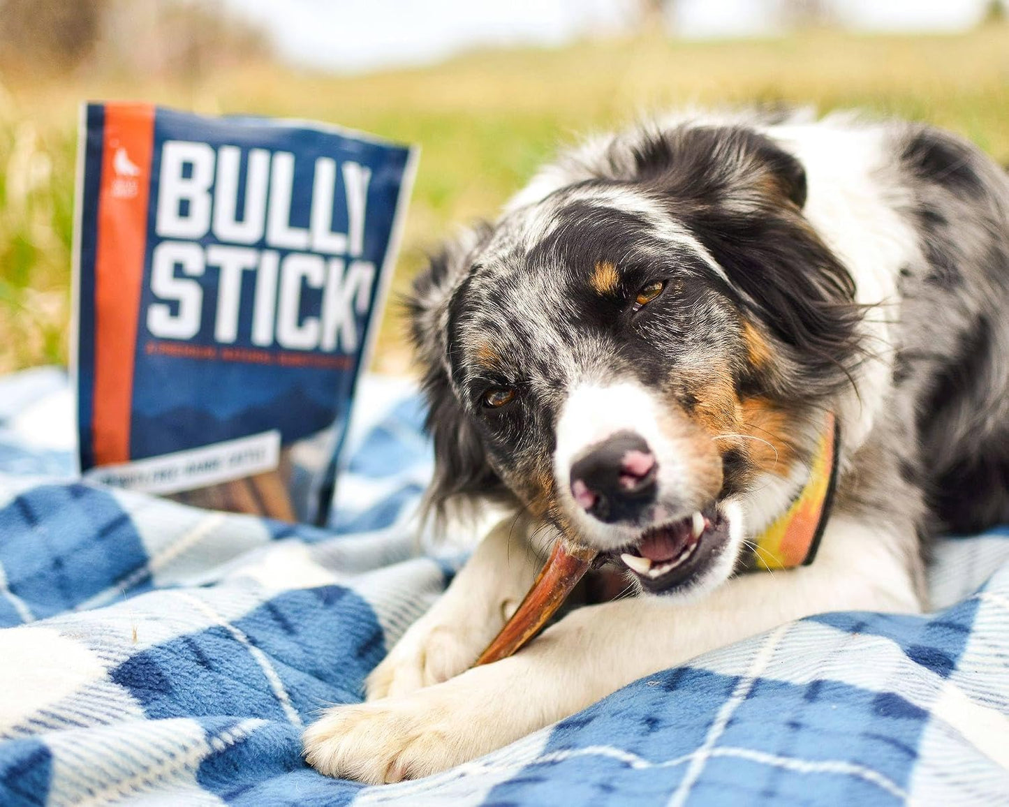 High protein long lasting pet chew treats imported from the USA.