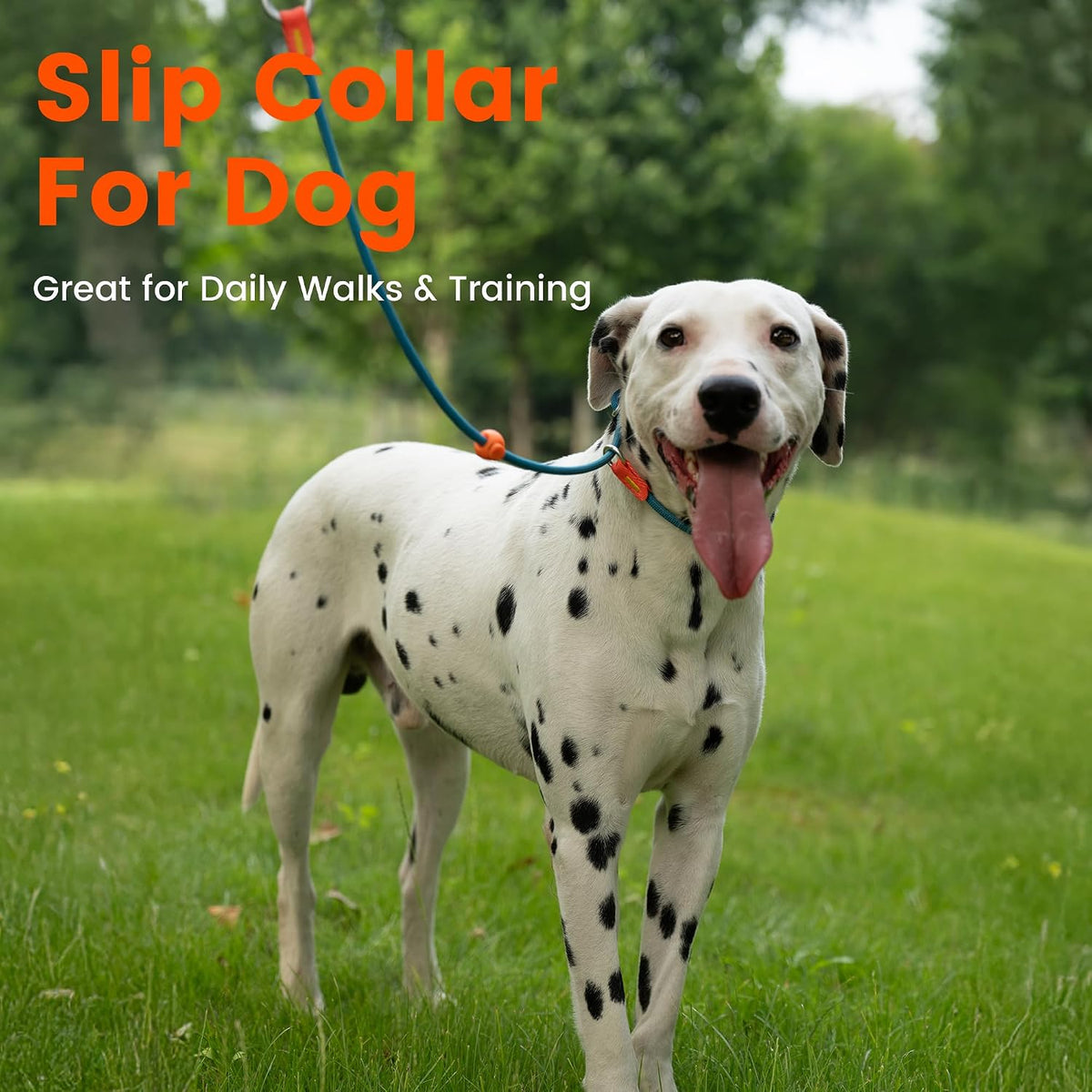Close up of HowGo nylon dog training collar hardware