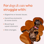 Back of Diggin' Your Dog Firm Up pouch showing ingredient list