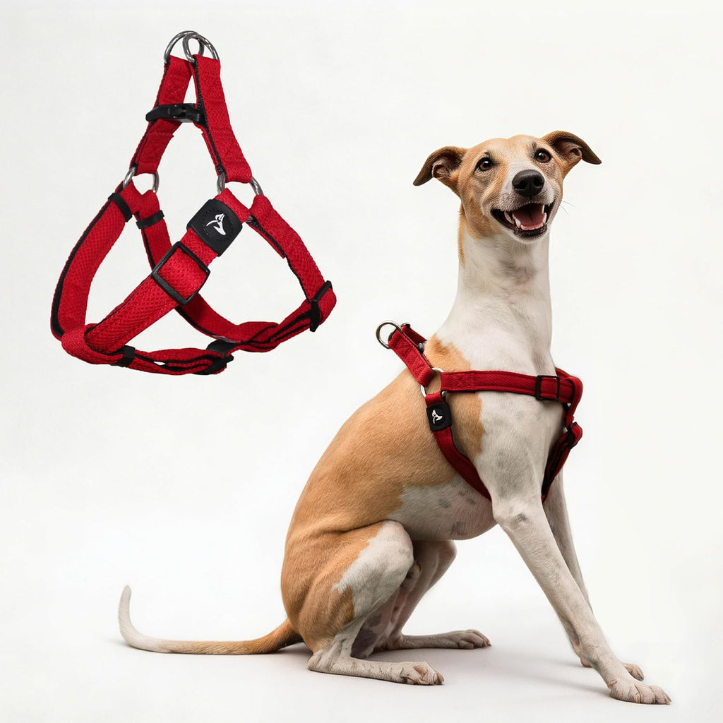 Kruz No Pull Dog Harness (Chest 26"-38", Weight 44-88 lbs) Heavy-Duty Pet Harness for Large Breeds, Ultra-Comfort Fit, Lifetime Durability, Adjustable Dog Harness No Pull Design (Amethyst, Large) - Image 11