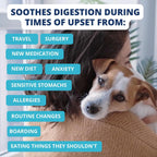 Under the Weather human grade dog bland diet close up
