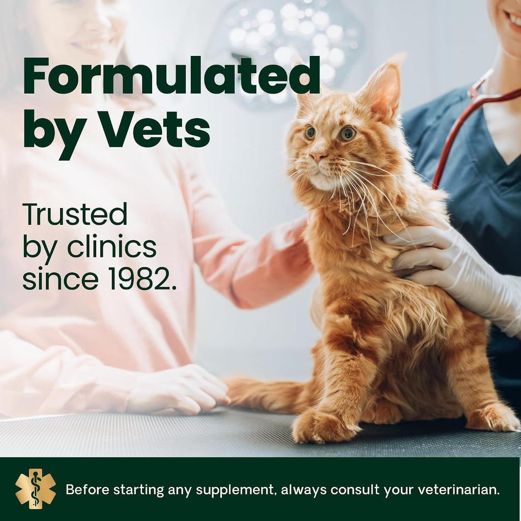 Complete VetriScience cat supplement pouch lifestyle display
