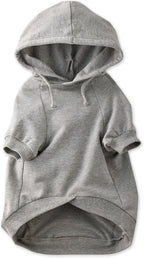 Pet Passion Rocky - The Original Lightweight Hooded Tee 100% Organic Cotton Dog Hoodie Pet Coat Sweater for All Sized Dogs, Spooky, Small (10-25 lbs) - Image 15