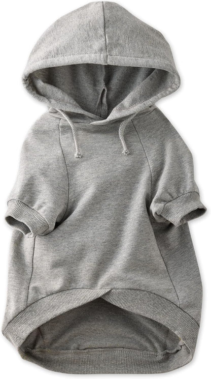 Pet Passion Rocky - The Original Lightweight Hooded Tee 100% Organic Cotton Dog Hoodie Pet Coat Sweater for All Sized Dogs, Spooky, Small (10-25 lbs) - Image 15