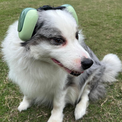 Side profile of Deryep Dog Earmuffs on medium dog