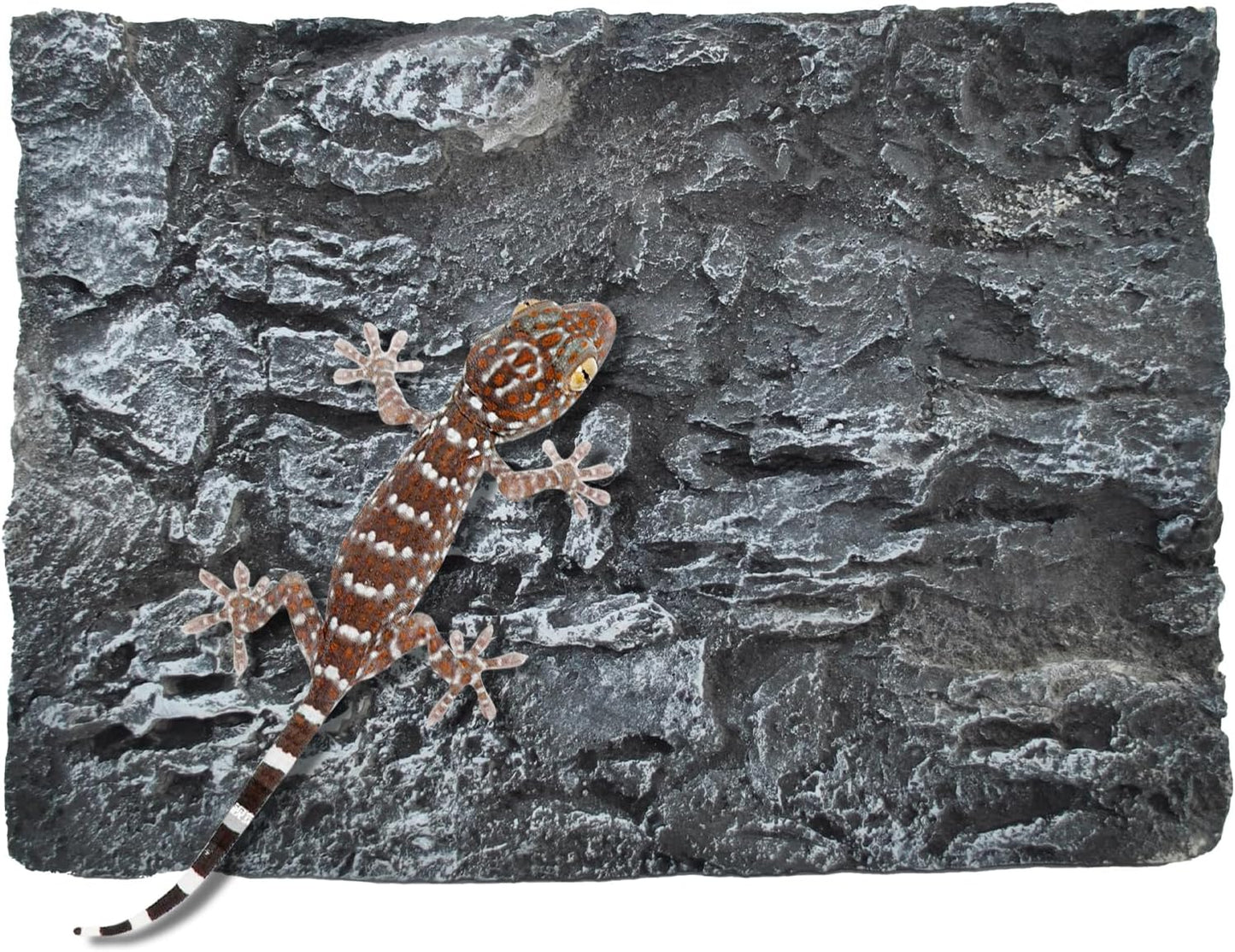Rock Terrarium Background, 3D Reptile Tank Background Board Amphibian Stereo Backdrop Wall Reptile Stereo Decoration Aquarium Decoration Reptile Gecko Frog Lizard - Image 11