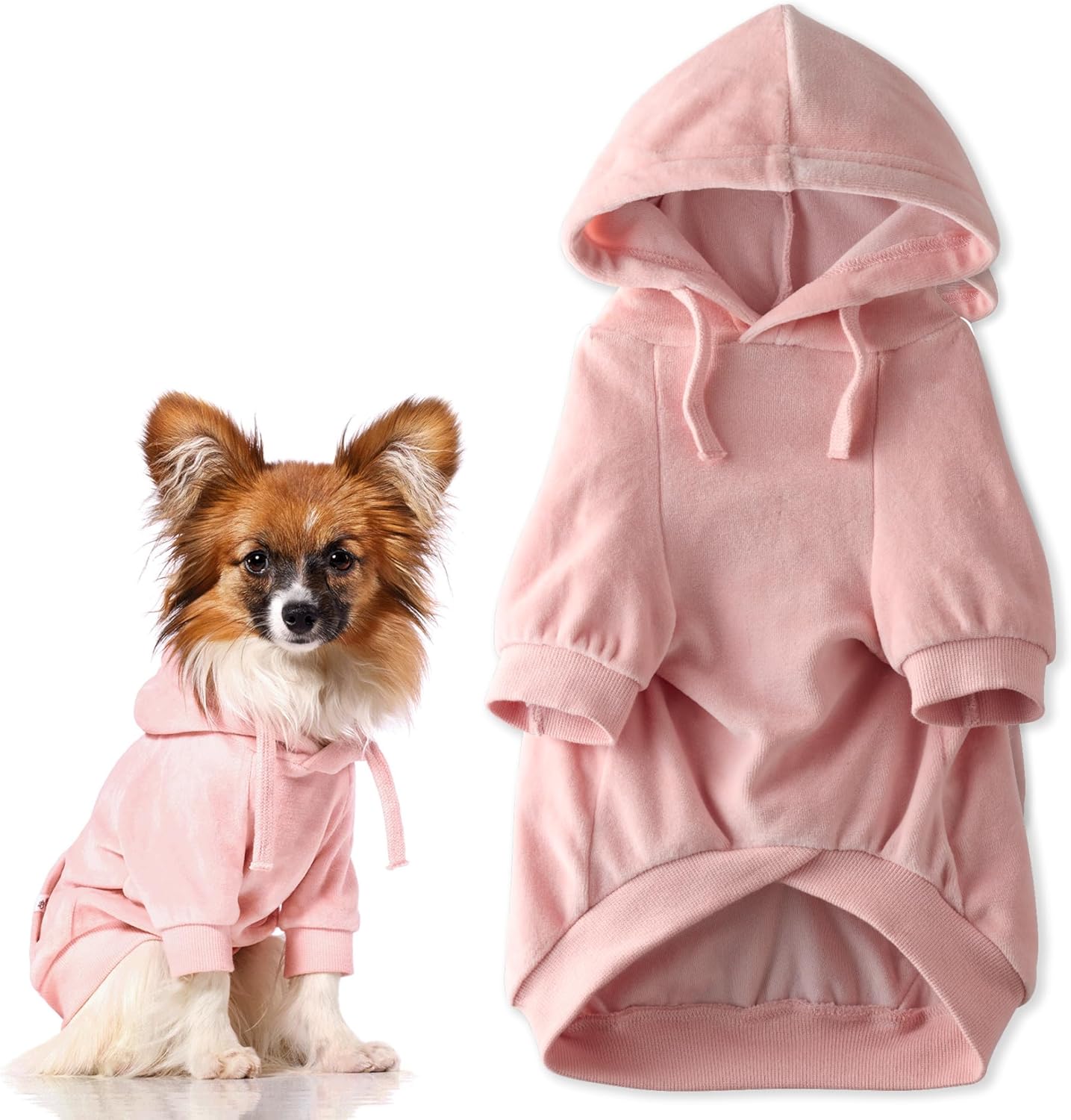 Pet Passion Cooper II Organic Cotton Velour Dog Hoodie Pet Coat for Small, Medium and Large Dogs, Navy, Medium - Image 9
