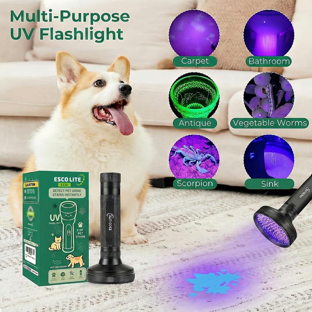 High power ultraviolet detector light being used outdoors at night to spot scorpions.