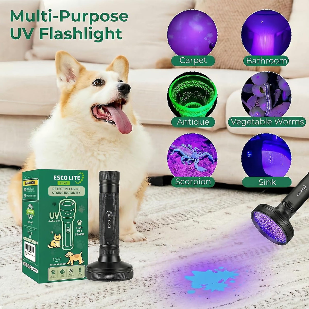 High power ultraviolet detector light being used outdoors at night to spot scorpions.