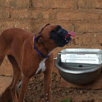 AKUATUZ automatic poultry and goat drinker bowl close up view.