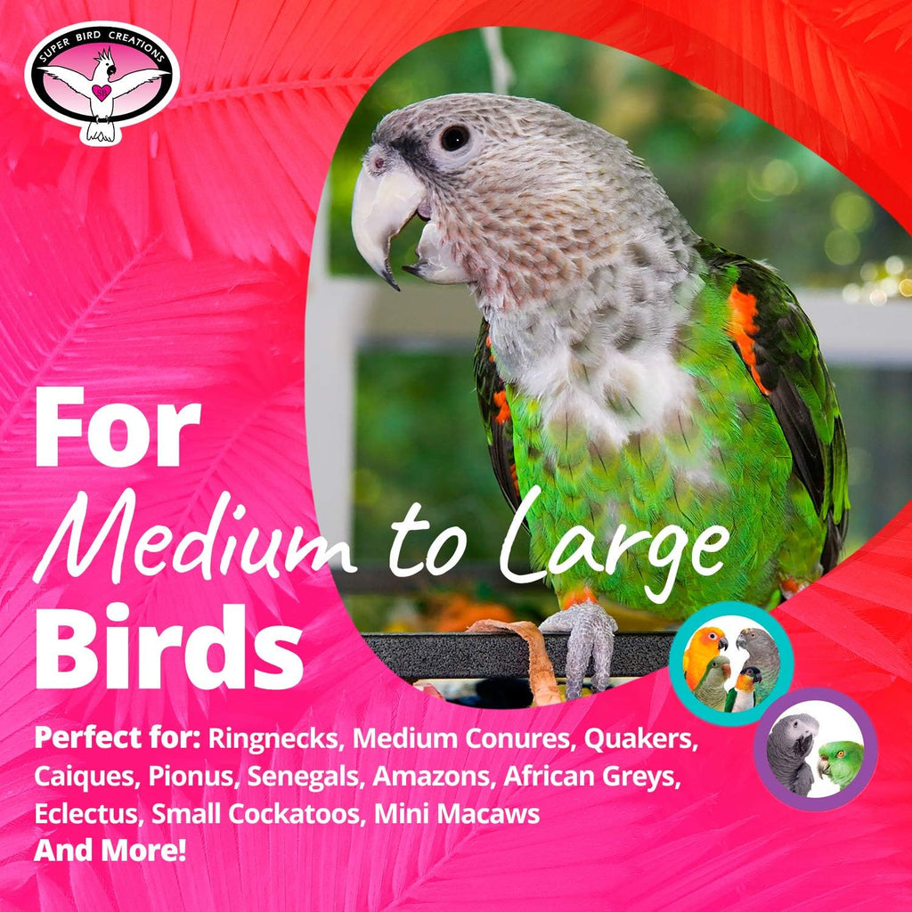 Medium to large parrot foraging toy with metal screw attachment