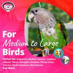 Medium to large parrot foraging toy with metal screw attachment