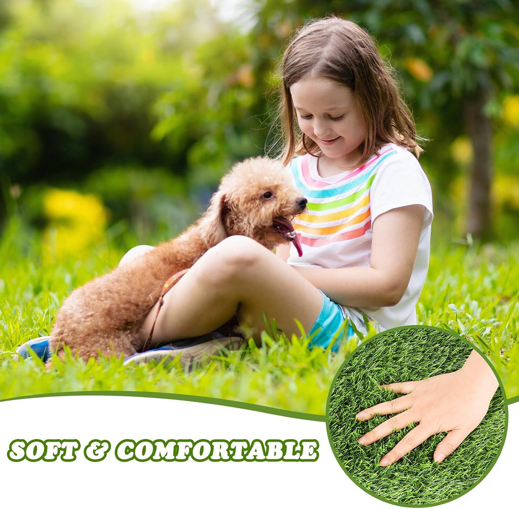 Puppy standing on soft green artificial grass pad