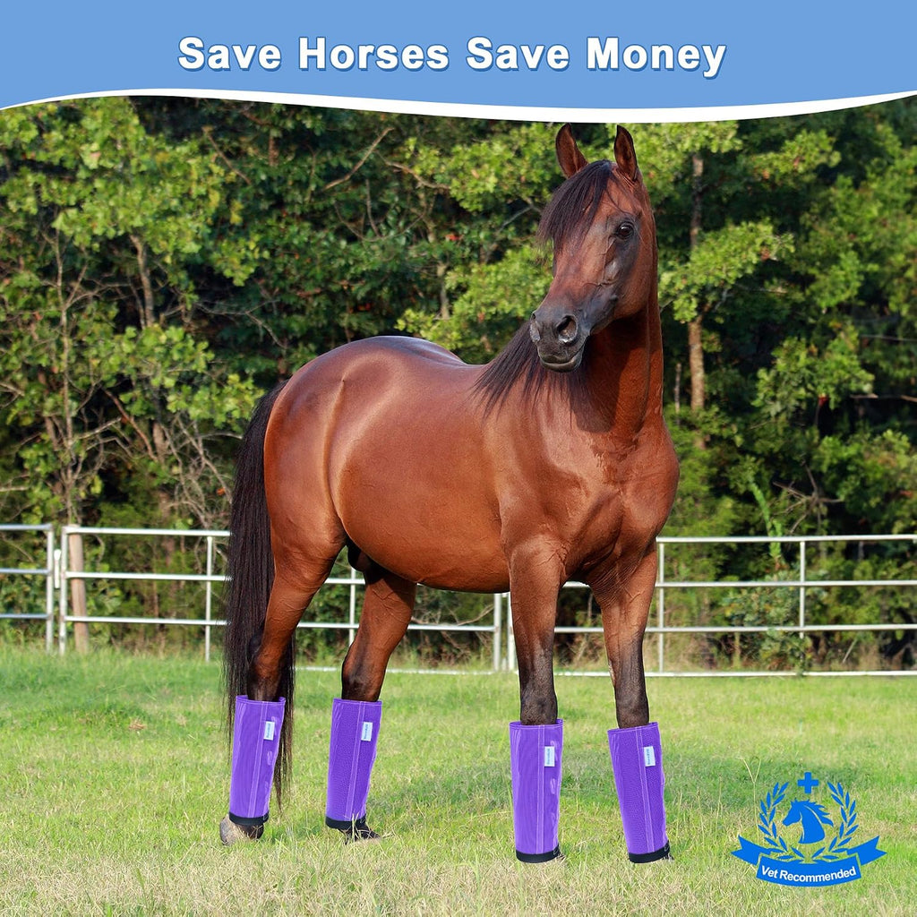 WARMWOW purple horse fly boots set of four package details.