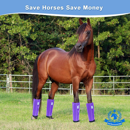 WARMWOW purple horse fly boots set of four package details.