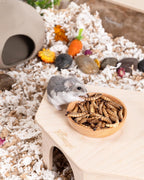 Canister of Niteangel freeze-dried insect treats for small pets