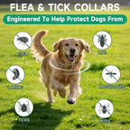 Adjustable grey flea and tick collar for dogs