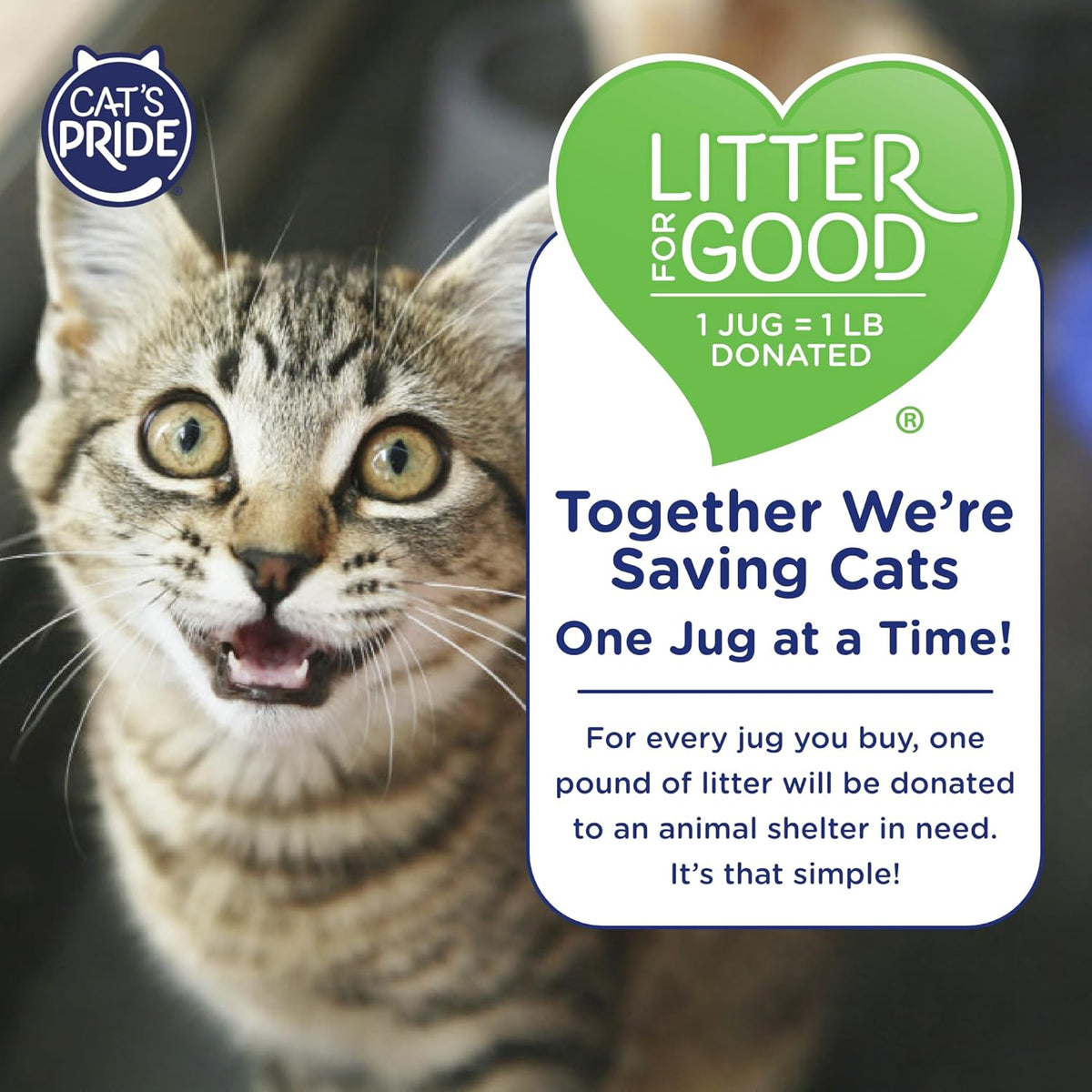 Cat's Pride scented litter jug 10 pounds for easy scoop