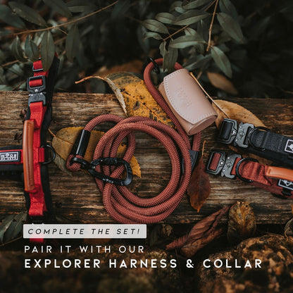 California Horizon color pattern on durable weather resistant dog lead
