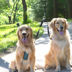 Caldwell's Pet Supply Co. premium two pet walker lead extension showcasing industrial strength webbing.