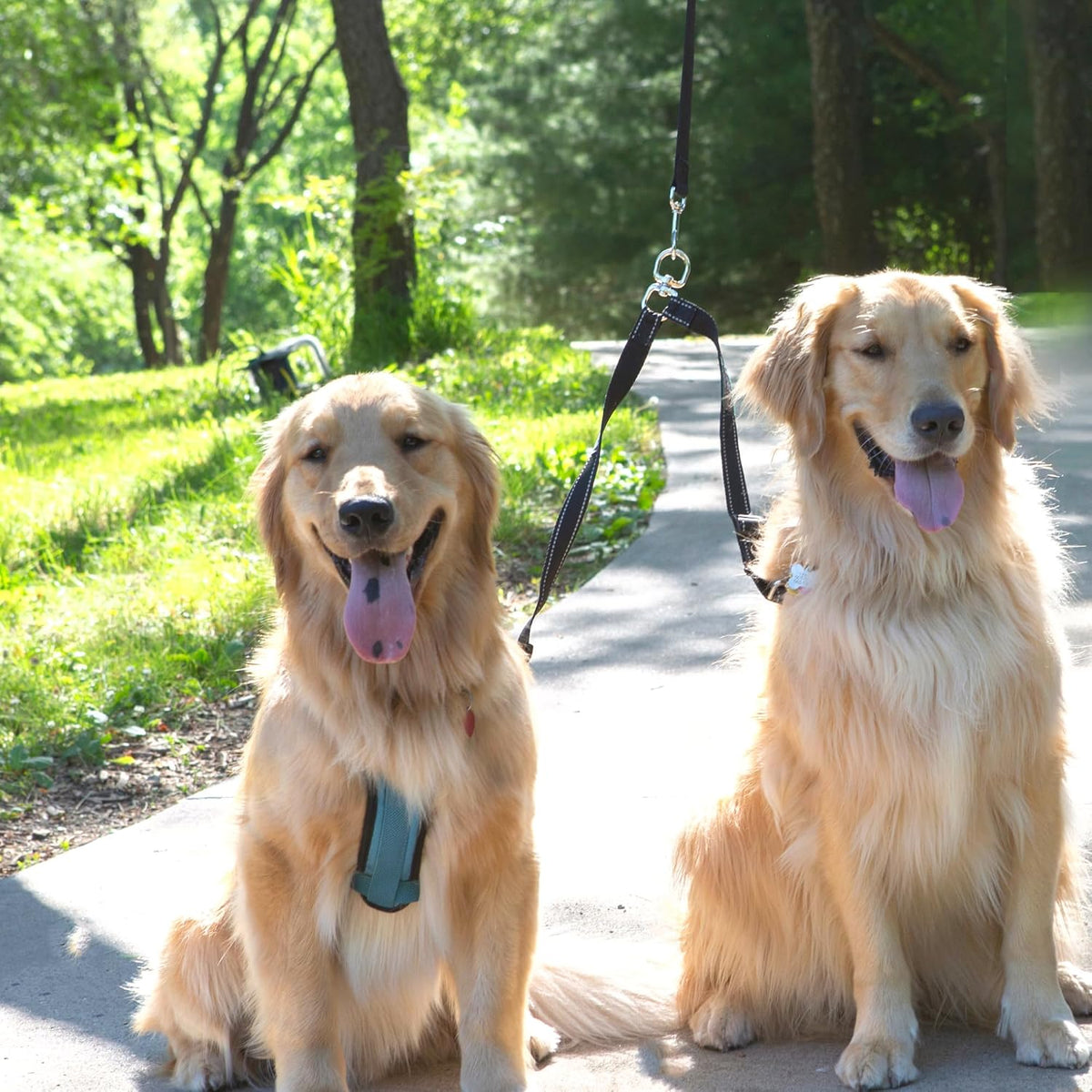 Caldwell's Pet Supply Co. premium two pet walker lead extension showcasing industrial strength webbing.