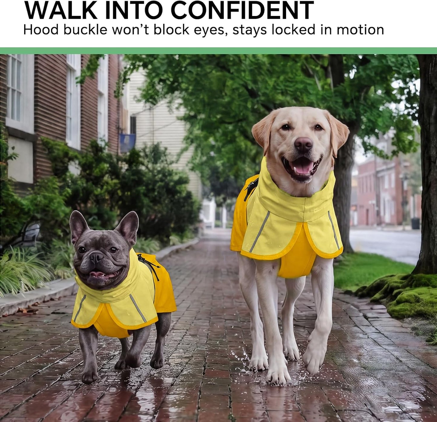 Yellow dog rain slicker with functional built in treat pocket close up