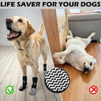 Small dog wearing protective anti-slip paw booties