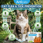 Articats topical cat flea treatment box showing 6 dose supply